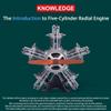 1:6 Scale Five-Cylinder Radial Engine Model, 230+ PCS Metal Mechanical DIY Assembly Aircraft Engine with Electric Motor for Science Experiment & Desktop Display Ornament view 4