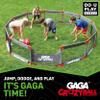 Do You Play GAGA CrazyBall Game Kit (DS) view 3