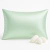 100% Mulberry Silk Toddler Pillowcase 13x18, Both Sides 19 Momme Natural Silk Pillow Cover for Hair and Skin, Soft Smooth Breathable Hypoallergenic Kids Pillow Slip (Light Green) view 1