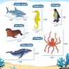 Beetots Ocean Sea Life Toy Figures Set for Kids, 12 PCS Realistic Marine Animals with Shark, Dolphin, Sea Turtle, Penguin, Seal, Clownfish, Crab, Ocean Animal Figure Toys for Boys Girls Toddlers view 2