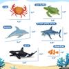 Beetots Ocean Sea Life Toy Figures Set for Kids, 12 PCS Realistic Marine Animals with Shark, Dolphin, Sea Turtle, Penguin, Seal, Clownfish, Crab, Ocean Animal Figure Toys for Boys Girls Toddlers view 3