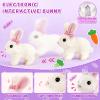 23Pcs Hopping Bunny Toy Set for Kids, Interactive Electric Walking Rabbit with Rolling Carrier House, Pretend Play Pet Care Grooming & Feeding Kit, Stuffed Animal Gift for Toddlers 3-5 view 4