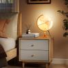 Goplus 12 Inch Illuminated World Globe, Antique Light up Rotating Globe Night Lamp with Wooden Stand, Geography Educational Desktop Decoration for Kids Adults Home Office School (Antique-Bronze) view 2
