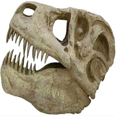 Animal Model Dinosaur Skull - Resin Model Tyrannosaurus Rex Skull Cretaceous Dinosaur Skull Exemplary Replication - for Archaeological Resear Pets, Toy,to