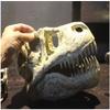 Animal Model Dinosaur Skull - Resin Model Tyrannosaurus Rex Skull Cretaceous Dinosaur Skull Exemplary Replication - for Archaeological Resear Pets, Toy,to view 4