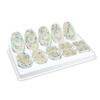 10,000X Animal Meiosis 3D Model 10 Stage Meiosis Demonstration Biology Classroom Cell Division Three-Open Cell Organelles Pieces Equipped with Stand view 2