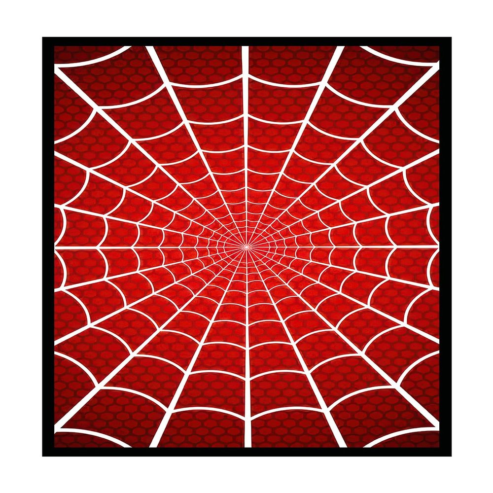 100 MTG Card Sleeves with 100 Inner Sleeve, Textured Back Art Sleeves, Fit Standard Size Cards- Spider Web