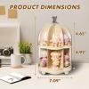 2 Layer Dolls Display Case Figure Toys Storage Box Transparent Blind Box Organizer Stand Dustproof Protection Showcase for Action Figures/Toys/Collectibles (2 Layer) view 2