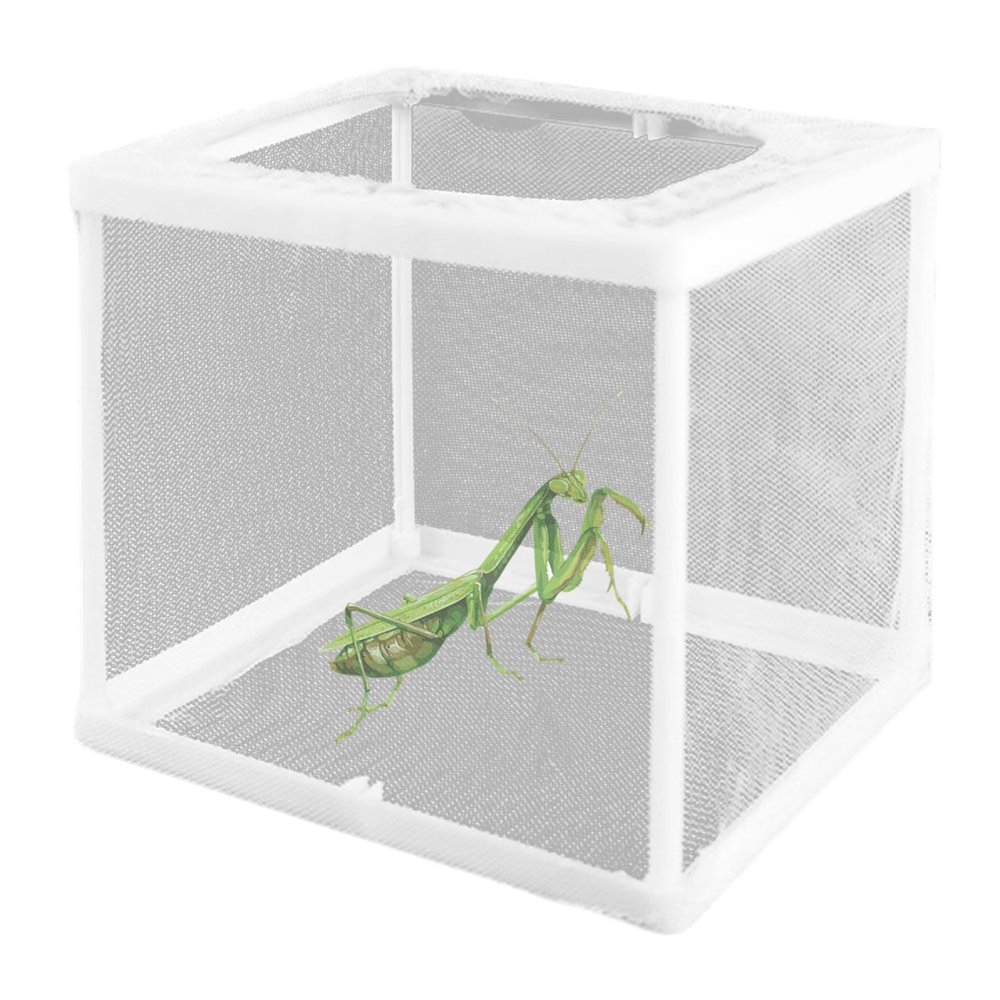 2Pcs Praying Mantis Habitat, 6.3x5.9x5.5 Praying Mantis Egg Case, Incubator for Tarantulas, Spiders, Snails, Crickets and Ants and Other Small Animals