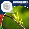2Pcs Praying Mantis Habitat, 6.3x5.9x5.5 Praying Mantis Egg Case, Incubator for Tarantulas, Spiders, Snails, Crickets and Ants and Other Small Animals view 3