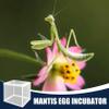 2Pcs Praying Mantis Habitat, 6.3x5.9x5.5 Praying Mantis Egg Case, Incubator for Tarantulas, Spiders, Snails, Crickets and Ants and Other Small Animals view 4