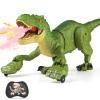 HAYXUN Remote Control Tyrannosaurus Rex Dinosaur Toys for Kids 3-5, 5-7, 8-12, RC T Rex Dino Robot Toy with Spray, Roar & Light, Birthday for 3 4 5 6 7 8 9 10 11 12 Year Old Boys (Green) view 1