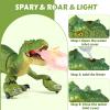 HAYXUN Remote Control Tyrannosaurus Rex Dinosaur Toys for Kids 3-5, 5-7, 8-12, RC T Rex Dino Robot Toy with Spray, Roar & Light, Birthday for 3 4 5 6 7 8 9 10 11 12 Year Old Boys (Green) view 2