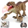 HAYXUN Remote Control Tyrannosaurus Rex Dinosaur Toys for Kids 3-5, 5-7, 8-12, RC T Rex Dino Robot Toy with Spray, Roar & Light, Birthday for 3 4 5 6 7 8 9 10 11 12 Year Old Boys (Brown) view 1