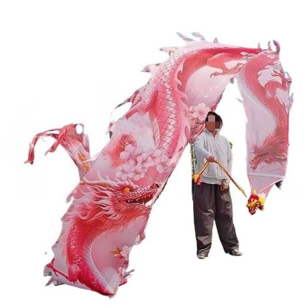 BPGSLYX Chinese Dragon Poi Ribbon Dragon Dance Ribbon Streamer with Head Dragon Dance Silk Streamer - Large Flowy Ribbon for Outdoor Fun, Festival Performances & Exercise (8m,Pink)
