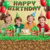 134Pcs Pixel Birthday Party Supplies for Birthday Decorations Serves 24 Guests view 2