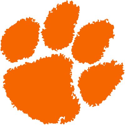 College Teams Cornhole Bags (4 Pack)  Premium Regulation Sets for Sports Fans & Tailgating Fun (Paisley, Clemson)