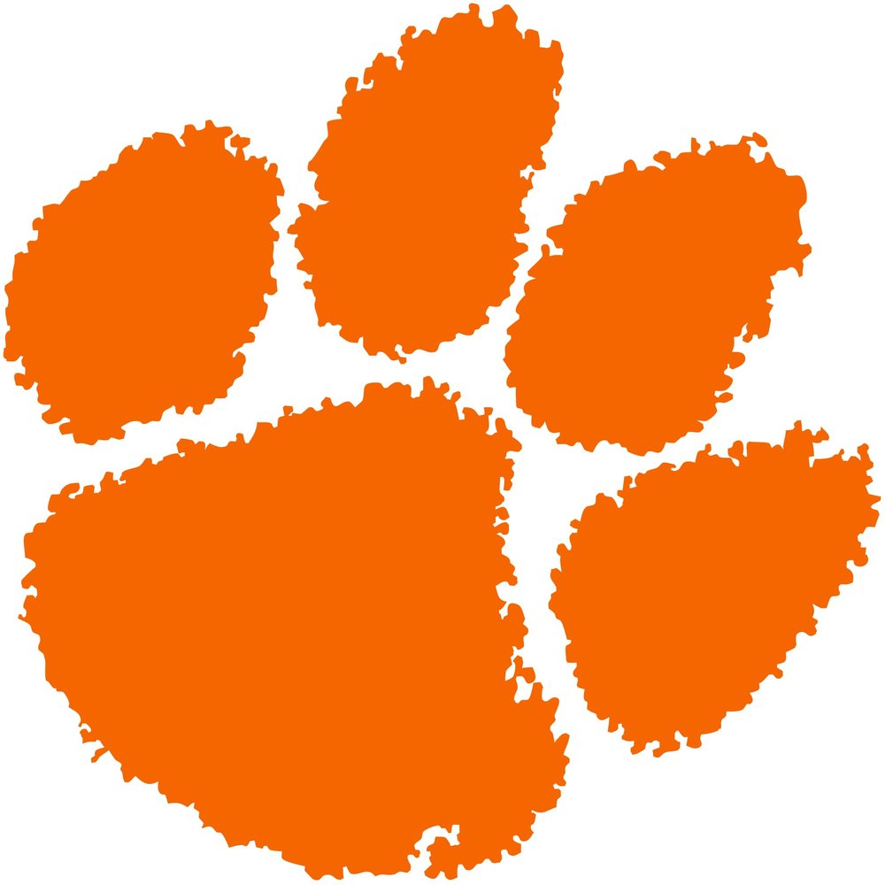College Teams Cornhole Bags (4 Pack)  Premium Regulation Sets for Sports Fans & Tailgating Fun (Paisley, Clemson)