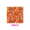College Teams Cornhole Bags (4 Pack)  Premium Regulation Sets for Sports Fans & Tailgating Fun (Paisley, Clemson) view 2