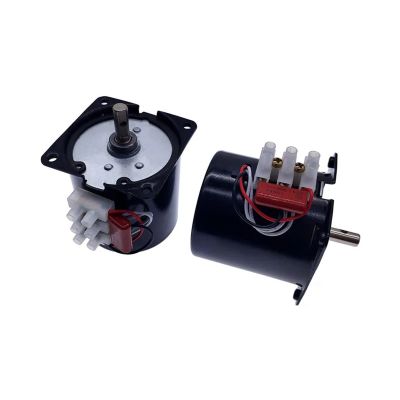 10rpm electronic starter de imn permanente AC220V 14W electronic starter sncrono de poste de garra 60kt