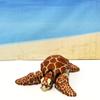 3D Printed Sea Turtle, 4" Articulated Sea Turtle Fidget Toy, Cute Sea Animal Creature Desk Toy AST-S-Brown view 3