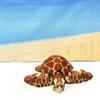 3D Printed Sea Turtle, 4" Articulated Sea Turtle Fidget Toy, Cute Sea Animal Creature Desk Toy AST-S-Brown view 4