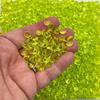 Chartreuse Green Fishbowl Slushie Beads for Crunchy Slime and Crafting rdnqu (Bag: 100 Grams / 3 1/2 Ounces) view 1