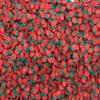 Larger Size Polymer Clay Strawberry Fruit Slice Sprinkles, Faux Fruit Slices, Nail Art Strawberry Sprinkles, Miniature Fake Fruit (Non Edible) (30g bag) view 2