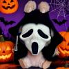 Two Sets Of 17cm Halloween Doll Outfits With Spooky Mask Accessories 17cm Halloween Adorable Halloween Fashion Dolls view 3