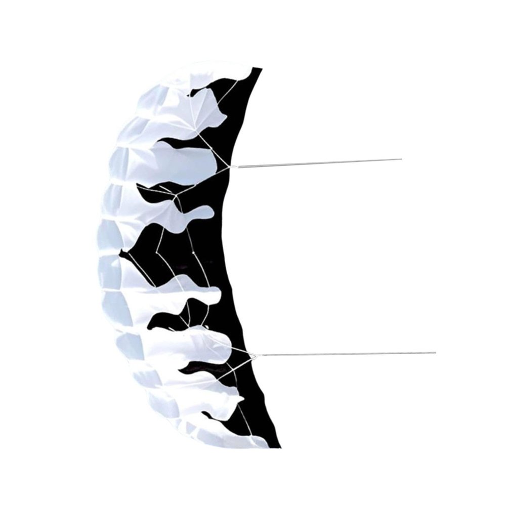 2M Parafoil Kite Two Line Parachute Kite for Beach Outdoor Games Boys Girls Activities with 30M Lines- Black White