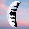 2M Parafoil Kite Two Line Parachute Kite for Beach Outdoor Games Boys Girls Activities with 30M Lines- Black White view 4