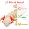BuQueHM 3D Printed Axolotl-Flexible Articulated 3D Animals for Stress Relief & Unique Desk Decor view 2