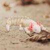 BuQueHM 3D Printed Axolotl-Flexible Articulated 3D Animals for Stress Relief & Unique Desk Decor view 3