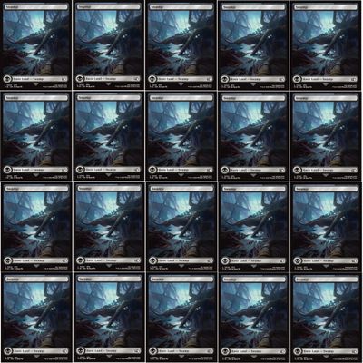 20x Magic The Gathering Final Fantasy Full Art Lands - MTG - Swamp #302 (Non-Foil)
