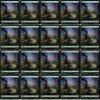 20x Magic The Gathering Final Fantasy Full Art Lands - MTG - Forest #306 (Non-Foil) view 1