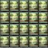 20x Magic The Gathering Final Fantasy Full Art Lands - MTG - Forest #308 (Non-Foil) view 1