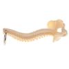 2X Mini Human Spine Skeleton Model Keychain - 3.74 inch Anatomical Teaching Aid Ornament view 3