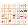 apcans Educational Flashcards English Vocabulary Flashcards Kids Early Learning Word Card Vocabulary Teaching Aid for Teacher view 4