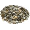10 Mixed Deutches Reich Novelty Coins | Fantasy Tokens from 1871-1945 | German Empire | Weimar Republic | Germany | WWI & WWII | Collectible Souvenir Coins for Your Album or Holders view 4
