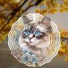 10 Inch Cat Wind Spinner, 3D Metal Animal Hanging Kinetic Wind Rustproof Sculpture Gift for Garden Yard Art Balcony Window Porch Lawn Farm Decor view 1