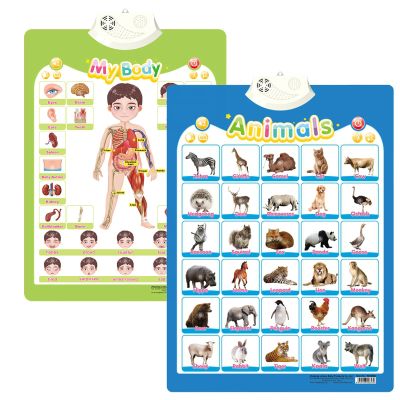 Alphabet Poster for Kids with Sound & Learning Modes, Electronic Wall Chart to Learn Arabic Letters, Numbers, and Words - Ideal Educational Tool (#16)