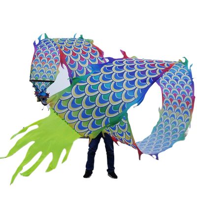 BPGSLYX Dragon Dance Streamer - Outdoor Play Decor for Joyful Ambiancem,Fitness Streamer Square Exercise Dance Dragon Poi for Adults Seniors (6m,Colorful)