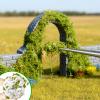 Warmtree Realistic Miniature Vines Simulation Vine Miniature Plants for DIY Mini Model Railway Fairy Garden Architecture Diorama Supplies Scenery Landscape Layout (White) view 2