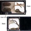 PXIWDAN Ant Farm Expansion Ant Nest Farm Moisturize Formicarium Box Ants House Acrylic Insect Villa Workshop Educational Science Learning Kit view 3