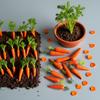 10 Pcs Miniature Carrot Models, Artificial Vegetables for Mini Kitchen Decoration, Party Supplies view 3