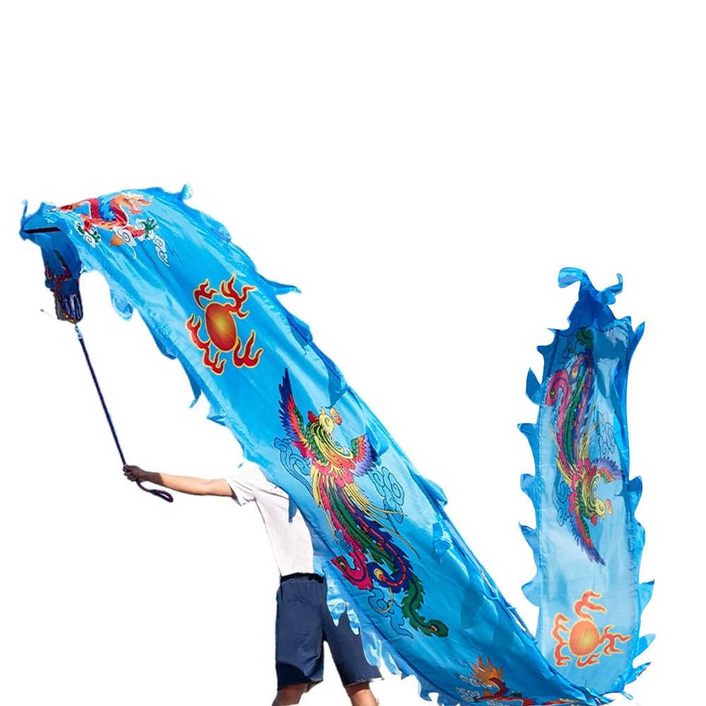 BPGSLYX Dragon poi Ribbon Dragon Dance Ribbon Streamer with Head, Fitness Streamer Square Exercise Dance Dragon Poi (6m,Blue)