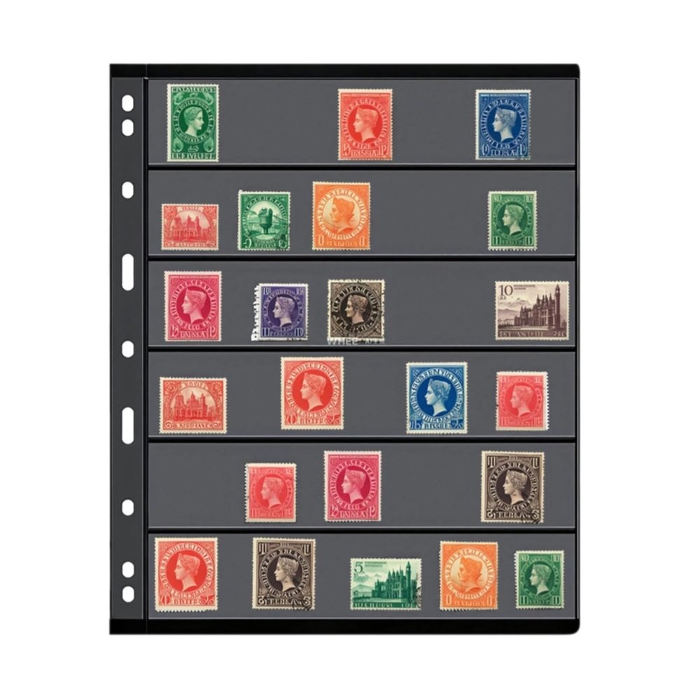 Stamp Album Refill Pages  10-Pack, 9-Pocket Double-Sided Sheets, Black Currency Coin Holder for Binders