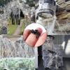 50 Real Plastic Spider Toys Halloween Prank Props Small Size Fun Halloween Decorations(Black). view 3