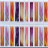 100pcsBeauty Tulip USWeddingCelebrationfor Party invatationsGreeting Card5books view 2