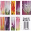 100pcsBeauty Tulip USWeddingCelebrationfor Party invatationsGreeting Card5books view 4